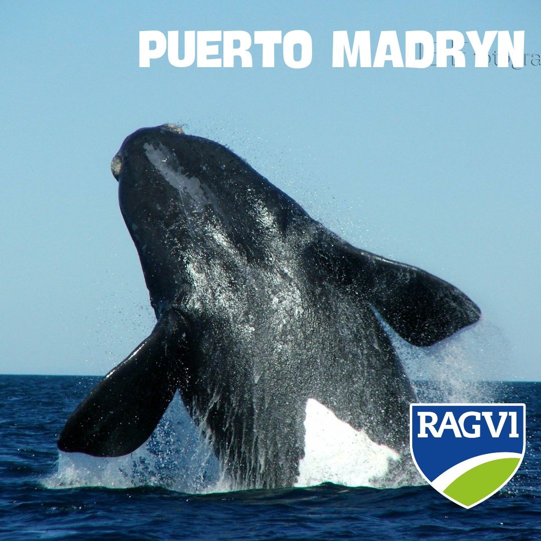 puerto-madryn-